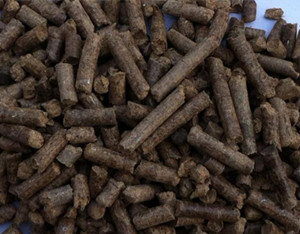 cow_dung_pellet