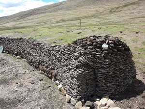 dried_cow_dung